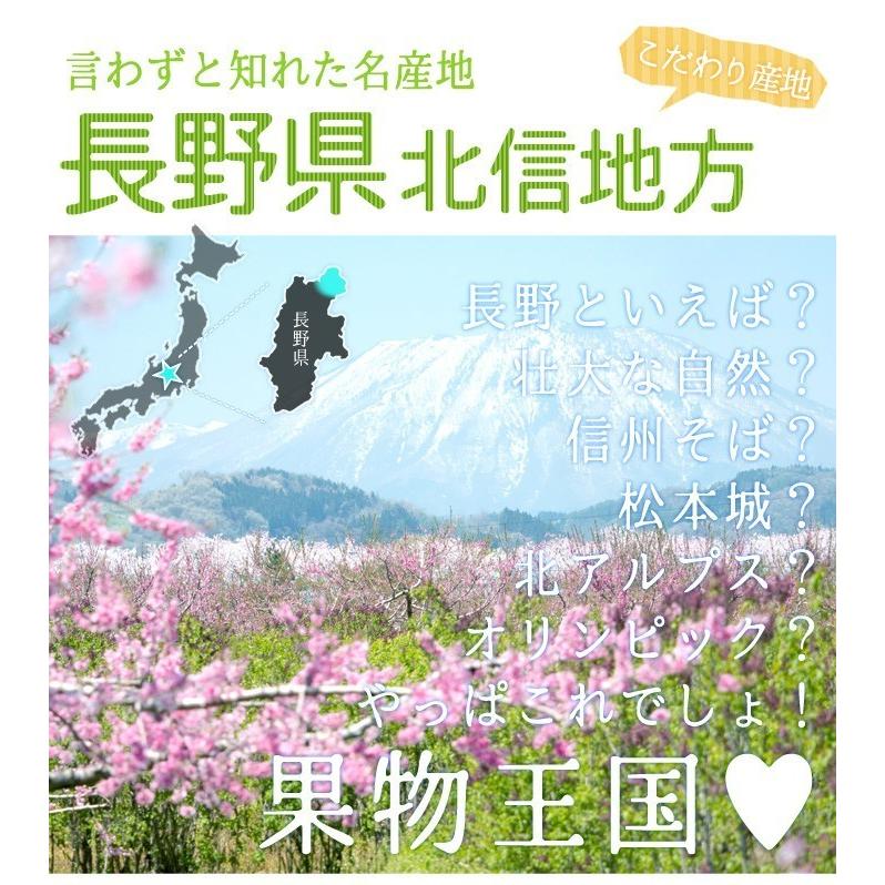 11月上旬〜中旬　サンふじ　訳あり りんご 減農薬 長野県産 送料無料 10キロ