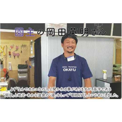 ふるさと納税 福井県 あわら市 8月特選 ぶどうセットL 1.7kg以上（3〜4房）／ 葡萄 シャインマスカット シャイン 品種 おまかせ あわら 農家おす…