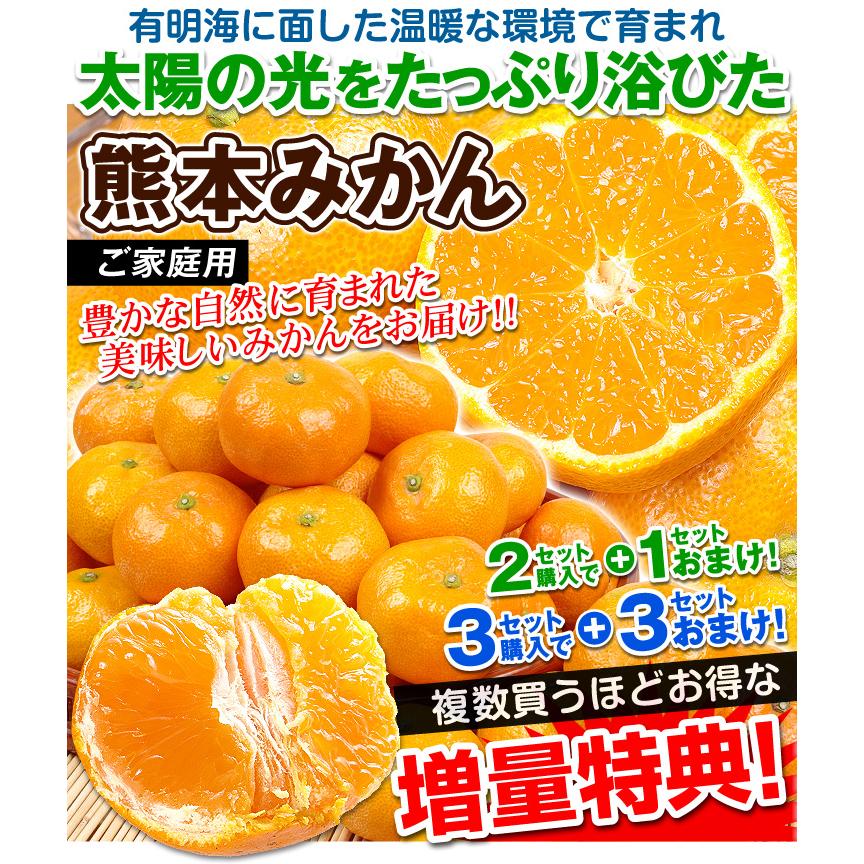 みかん 熊本みかん（1.5kg）ご家庭用 熊本産 送料無料 2セット目から増量 S〜2L 増量特典 ポイント消化 蜜柑 果物 国華園