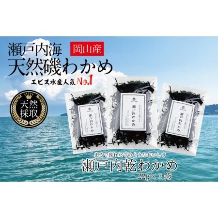 ふるさと納税 風味豊かな 瀬戸内 わかめ 22g×3袋 エビス水産 岡山県瀬戸内市