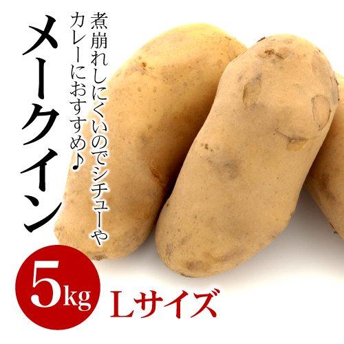 北海道産　メークイン　L,2Lサイズ　5kg詰め　じゃがいも　ジャガイモ