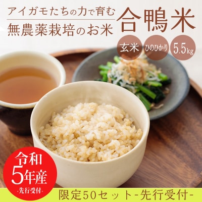 高原町産 無農薬合鴨米(玄米)5.5kg　特産品番号424