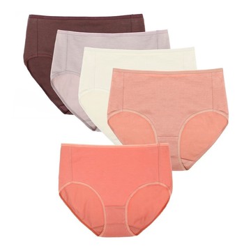 sloggi-EVERYDAY有機過生活系列高腰三角褲五件包 霧色系列｜C76-939 I1