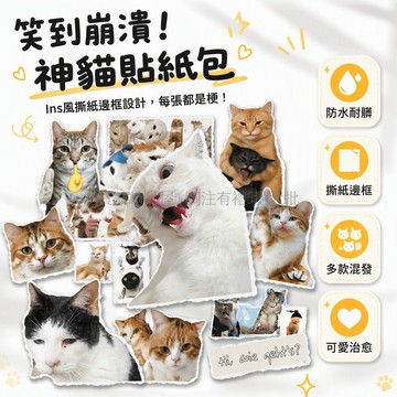 台灣出貨✨ 哈基米貓咪 PET 貼紙 可愛寫實貓 Meme 表情貼 防水裝飾水杯筆本 透明材質 50張 x2套裝