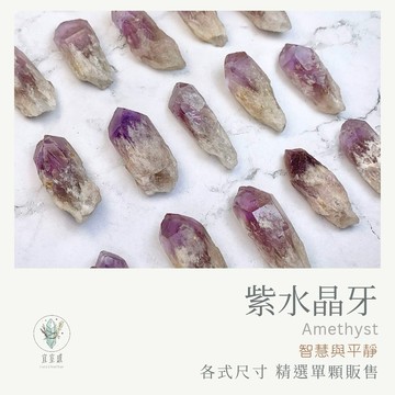 【宜室感】 紫水晶牙 精選單支販售 | 天然水晶 原礦 智慧 靈性 開運水晶 礦石收藏 原石 辦公室擺設