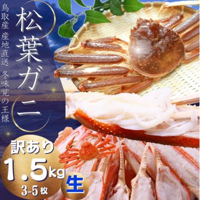 ふるさと納税 鳥取市  松葉がに(生・訳あり)1,5キロ(3〜5枚) 