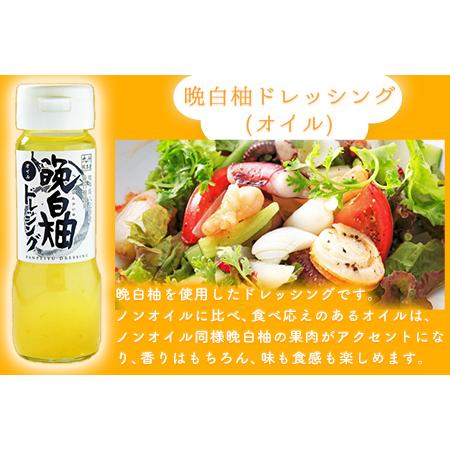 ふるさと納税 晩白柚ドレッシングセット オイル ノンオイル 各2本 熊本県氷川町産 道の駅竜北《60日以内に順次出荷(土日祝を除く)》 熊本県氷川町