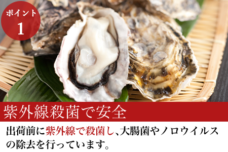 『予約受付』 いろは島の料理長が厳選！唐津産 牡蠣5kg ナイフ 軍手付 (加熱用)殻付き かき カキ 殻付き牡蠣 養殖 まがき 貝 海鮮 シーフード