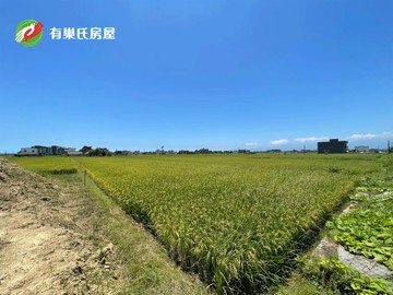 玉田大面寬足坪剛剛好農地｜宜蘭縣礁溪鄉玉田段