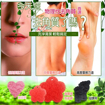GS MALL 台灣製造 去角質潔膚片  除角質 潔膚片 去角質 去皮 除皮 刮皮 足部保養 磨腳皮