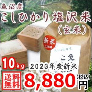 送料無料 （令和5年新米） 南魚沼産 コシヒカリ 塩沢米 玄米 10kg 産地直送 こしひかり