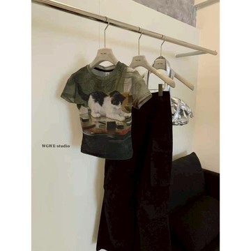 【太妮絲WG27】現貨 美式 貓咪 花貓 透透 網紗 打底 透透上衣 短袖上衣 短袖透透 紗網 小貓咪 透膚上衣 辣妹款