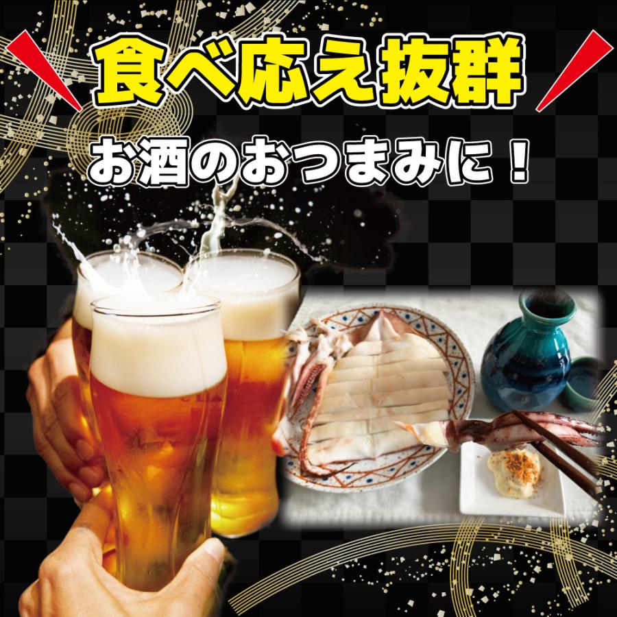 いか一夜干し２尾入り 2パック お徳用 大型イカ ふっくら肉厚 職人技 旨味あふれる 海鮮