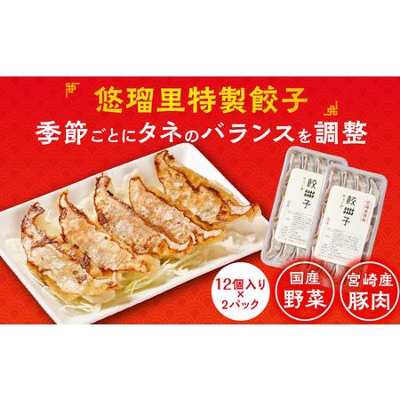 ふるさと納税 悠瑠里黒ら〜めん4食セット×悠瑠里特製餃子2P×鶏餃子2P ラーメン 黒ラーメン 餃子 宮崎県宮崎市