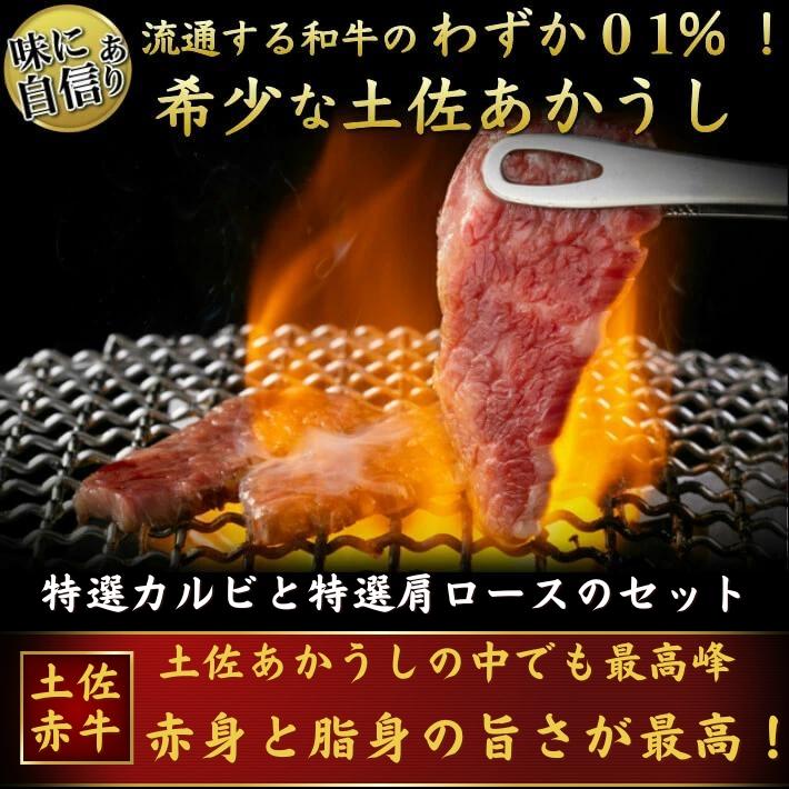 土佐あかうし 極上 焼肉セット カルビ ロース 計500g 和牛 誕生日 贈答 ギフト