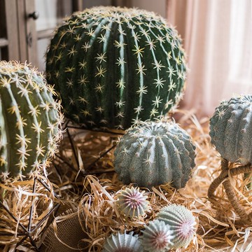 掬涵 仙人球 仿真大型植物沙漠綠植裝飾陳列設計造景道具