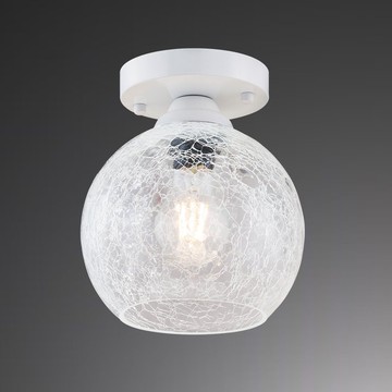 單吸頂燈 B209-060017