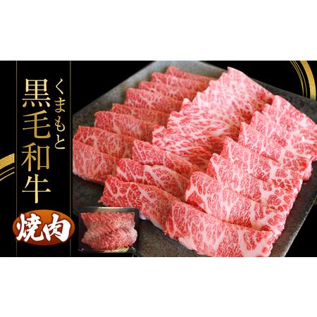 ふるさと納税 くまもと黒毛焼肉500ｇ 熊本県和水町