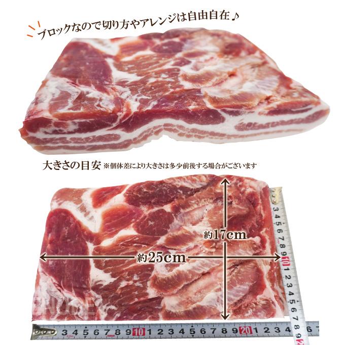 赤身が多いのが特徴 豚バラ肉ブロック冷凍1kg 豚ばら 角煮用 ベーコン燻製など ホエー豚とは違う味わい 三枚肉 チャーシュー焼豚用