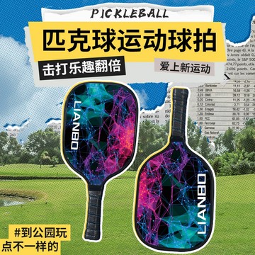超低價🔥匹克球拍 匹克球 匹克球拍組 板羽球 板羽球拍 USA Pickleball 碳纖維比賽級 球拍 運動 楊木拍