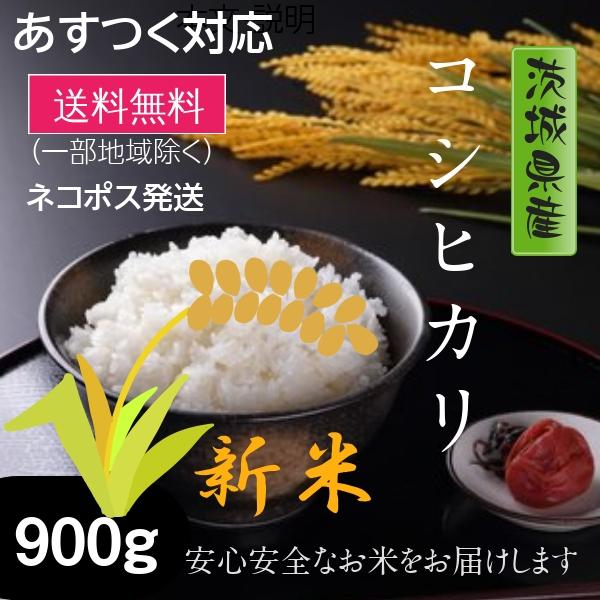 新米 米  お試し米 900g コシヒカリ 茨城県産 5年産 全国送料無料