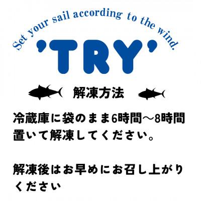 ふるさと納税 静岡市 　本鮪　大トロ100g　中トロ200g　赤身200g　セット　合計500g