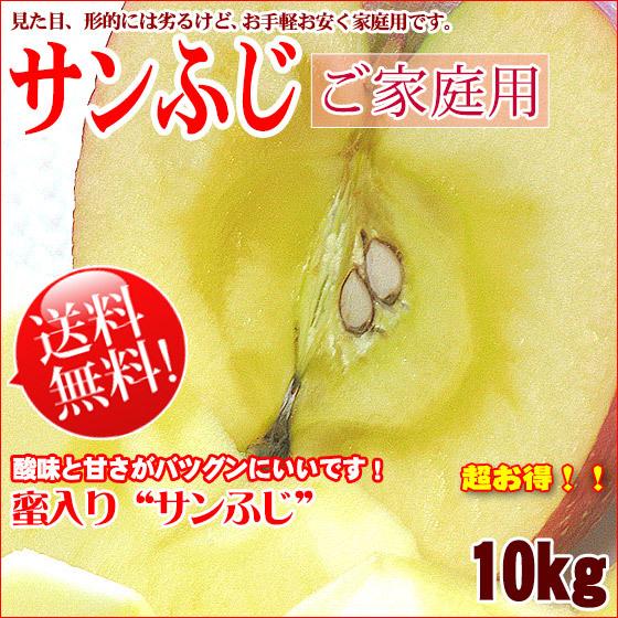 サンふじ りんご 長野 送料無料  約10kg 訳あり キズやサビ 中小玉混 リンゴ