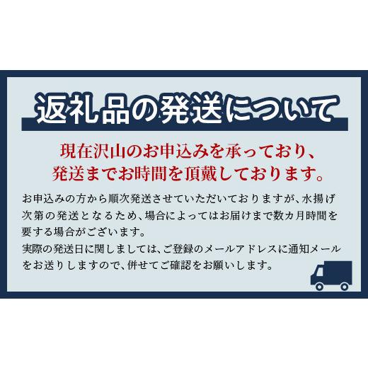 ふるさと納税 北海道 森町 北海道噴火湾産活ずわいがに 3.0ｋｇ詰め込みセット ＜道産ネットミツハシ＞ かに カニ…