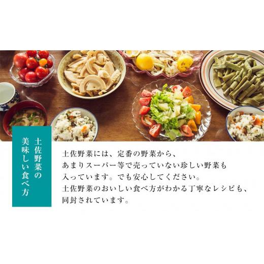 ふるさと納税 高知県 南国市 旬の野菜の詰め合わせ 大