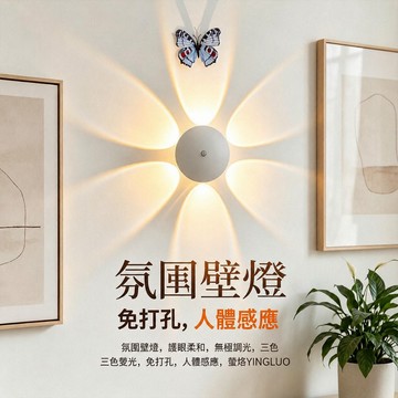 【台灣出貨】 花朵壁燈 人體感應燈 免佈線 充電感應燈 床頭燈 磁吸壁燈 氛圍燈 遙控燈 樓梯壁燈 走廊燈 夜燈