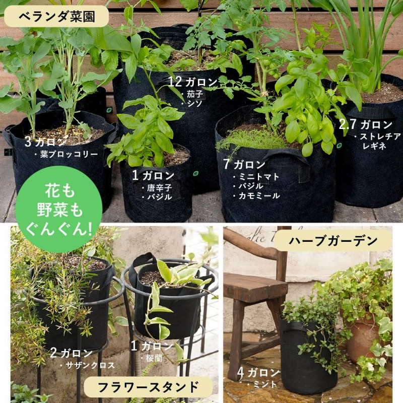 不織布プランター 1ガロン 5個 不織布ポット 6号 18 x 15