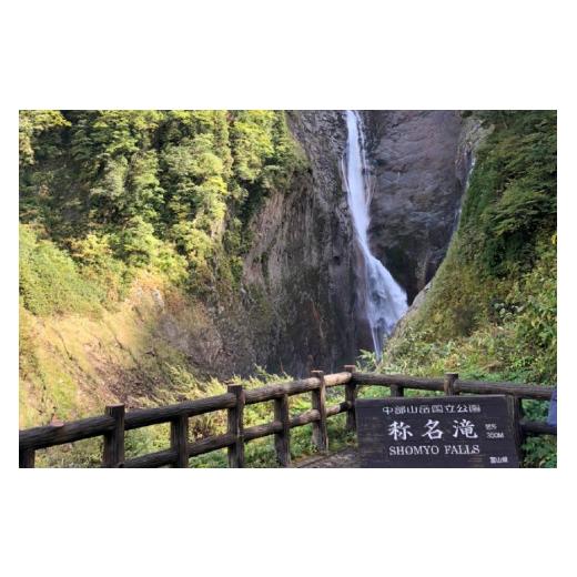 ふるさと納税 富山県 立山町 お米 こしひかり 富山県立山町産 1kg×3袋 計3kg   横山ファーム   富山県 立山町