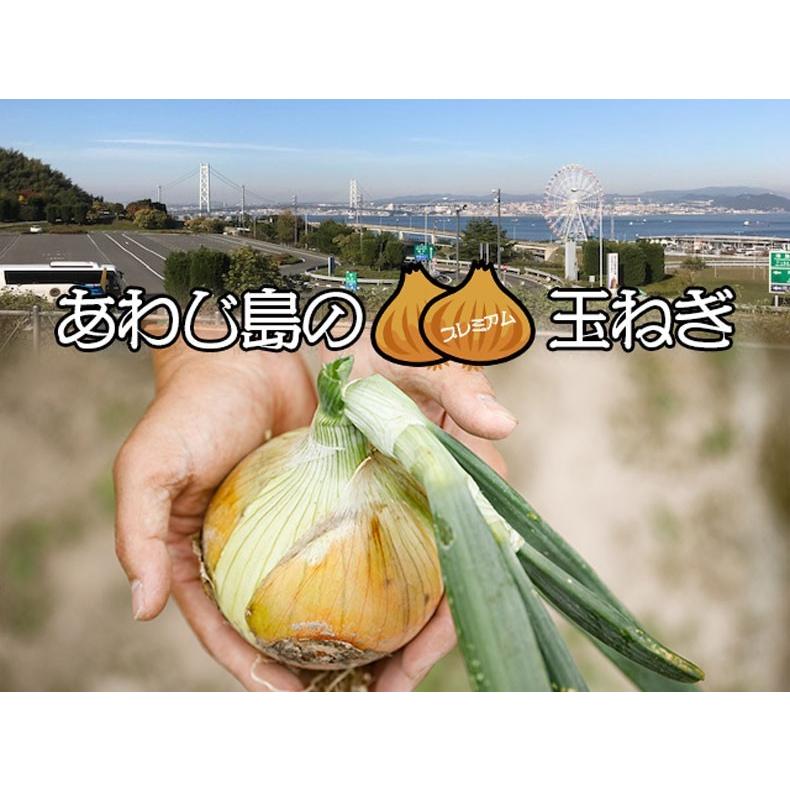 玉ねぎ 淡路島 たまねぎ 5kg 1箱 あわじ島 タマネギ 玉葱 プレミアム 特選 野菜 家庭用 送料無料