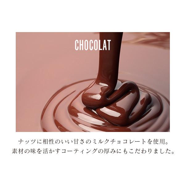 カシューナッツ塩ショコラ 200g (カシューチョコ 塩チョコ チョコレート ナッツ)