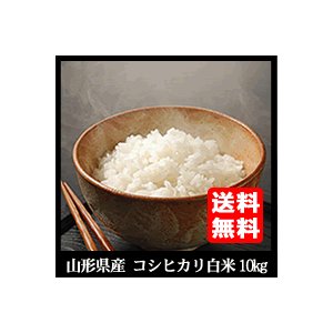 新米 コシヒカリ 山形県産 精白米１０kg(５キロ×2) 送料無料　令和5年産米 １等米庄内産特別栽培米