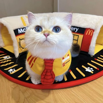 🐱麥當勞貓窩3.0 喵樂送🐱可愛M標貓咪隧道 冬天貓窩 貓隧道 貓咪圍兜 冬天貓窩隧道 貓咪裝飾周邊 寵物周邊