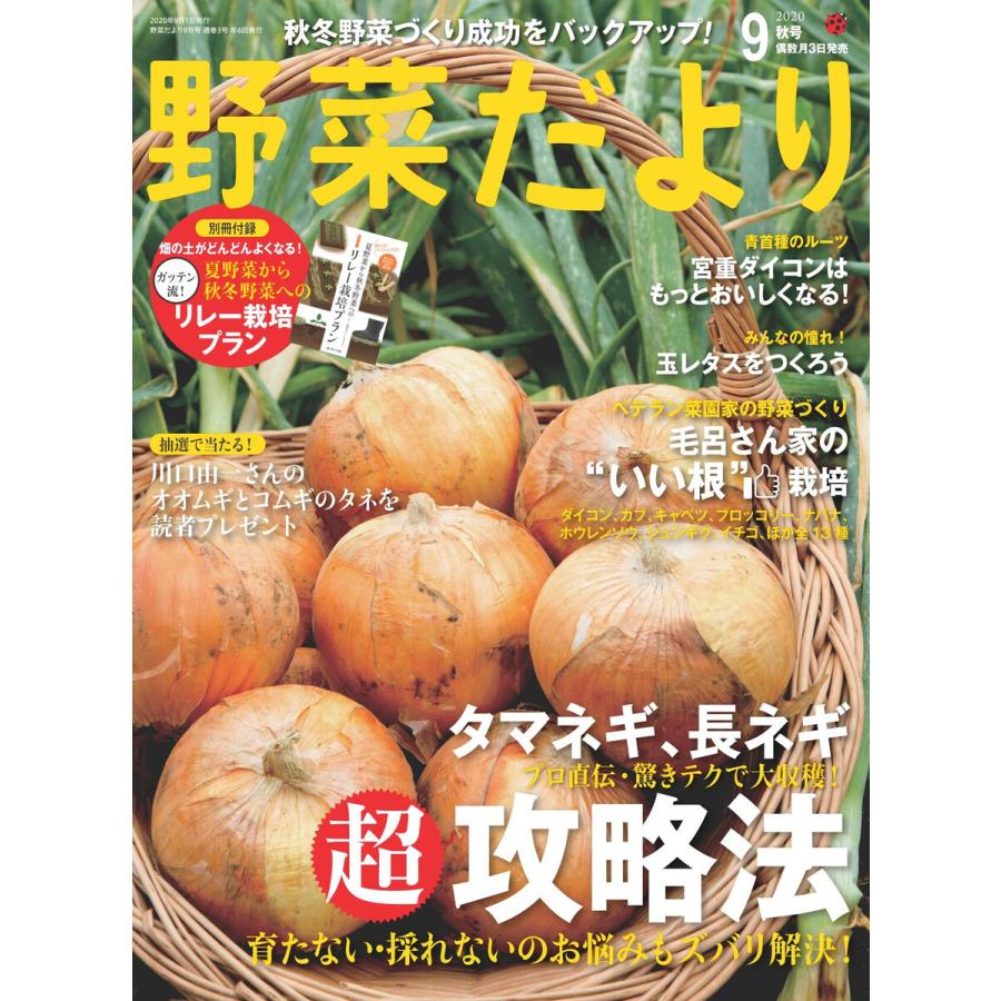 野菜だより 2020年9月号 電子書籍版   ブティック社編集部