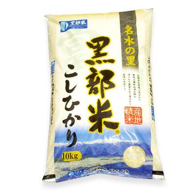 ふるさと納税 黒部市 黒部米こしひかり10kg精米(2023年産)