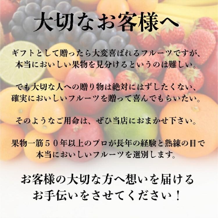 最高級シャインマスカット大房2房 化粧箱 マスカット 大粒 山梨 岡山 大房 贈答用