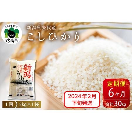 ふるさと納税 新潟県矢代産コシヒカリ5kg（計30kg）全6回※沖縄県・離島配送不可 新潟県妙高市