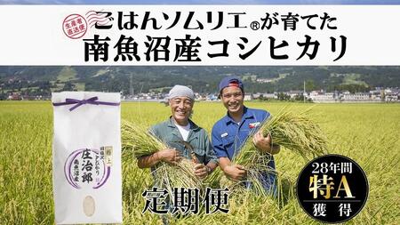 令和5年産 定期便5kg×6回 ごはんソムリエの南魚沼産コシヒカリ『庄治郎』100％塩沢産