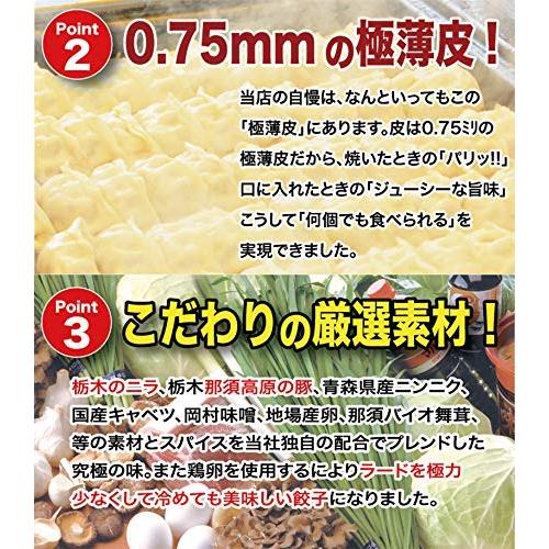 健太餃子 シソ スタミナ健太 ニンニク ニラ 餃子5種×各5個 40個セット 宇都宮餃子館 スタミナ 栃木県 宇都宮