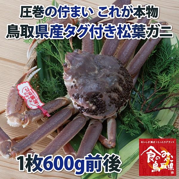 タグ付き松葉ガニ(活)中サイズ1枚600g前後