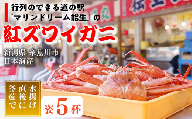 2024年3月以降出荷予約紅ズワイガニ×5杯 日本海直送 紅ずわいがに 姿 新潟県糸魚川 マリンドリーム能生のカニ屋横丁からお届け！ ベニズワイガニ お届け日指定可能