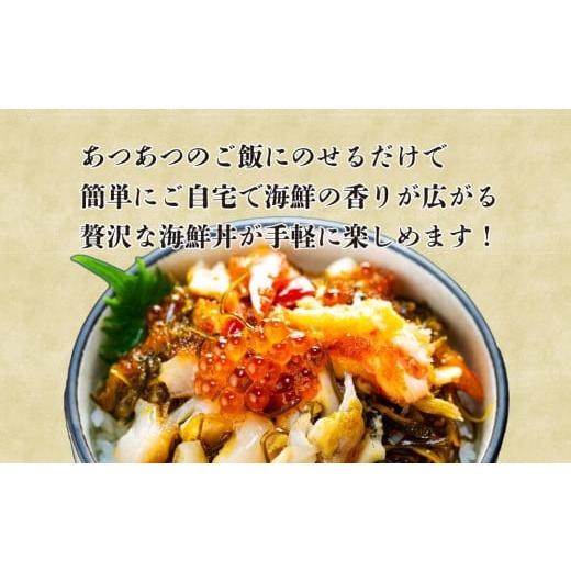 ふるさと納税 北海道 札幌市 9種類の具材が入った！北海海鮮丼300g（150g×2個）