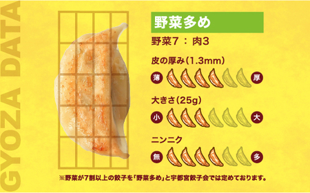 　餃子24個入り×2箱