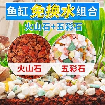 新款🎯臺灣出貨🎯古法養魚鋪底生態沙水培原生魚缸底砂造景砂天然五彩雨花石火山石