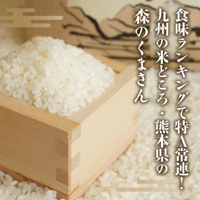 米 10kg 無洗米 森のくまさん 熊本産 最新年度産 特A評価 精米 うるち 白米 お米 ご飯 常温便