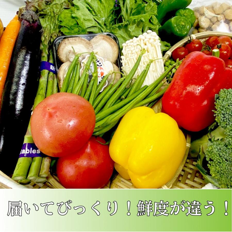 新鮮　野菜セット　九州野菜8品  おまけのお野菜4〜6品 九州の市場から直送　野菜詰め合わせ　