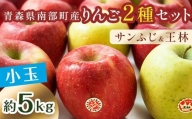 秀 (小玉) 青森産 完熟 りんご 約5kg サンふじ 王林 2種セット  青森りんご リンゴ 林檎 青森県 南部町 澁川賞 受賞 果物 くだもの フルーツ F21U-224